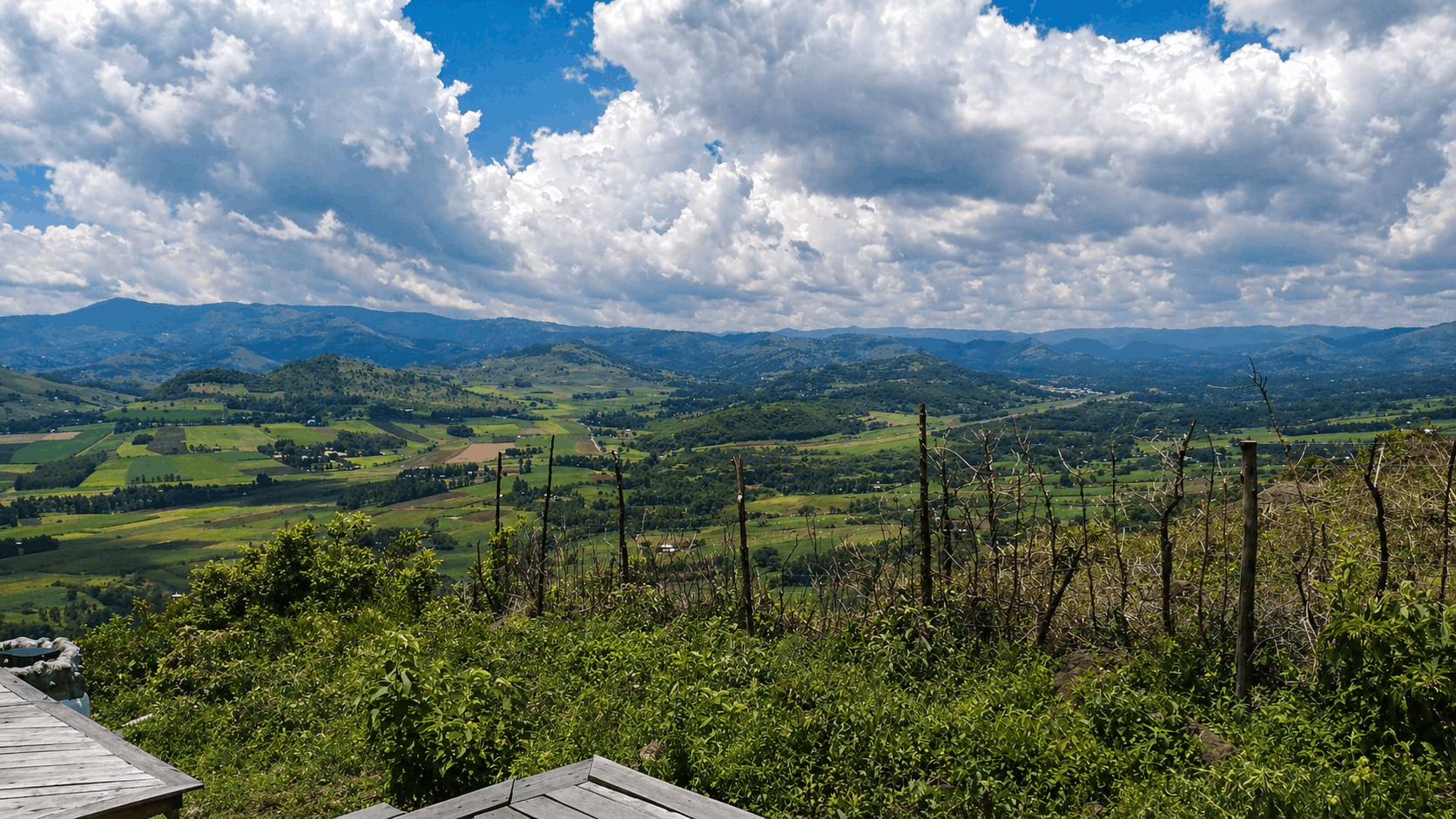Future cabin site — view 1