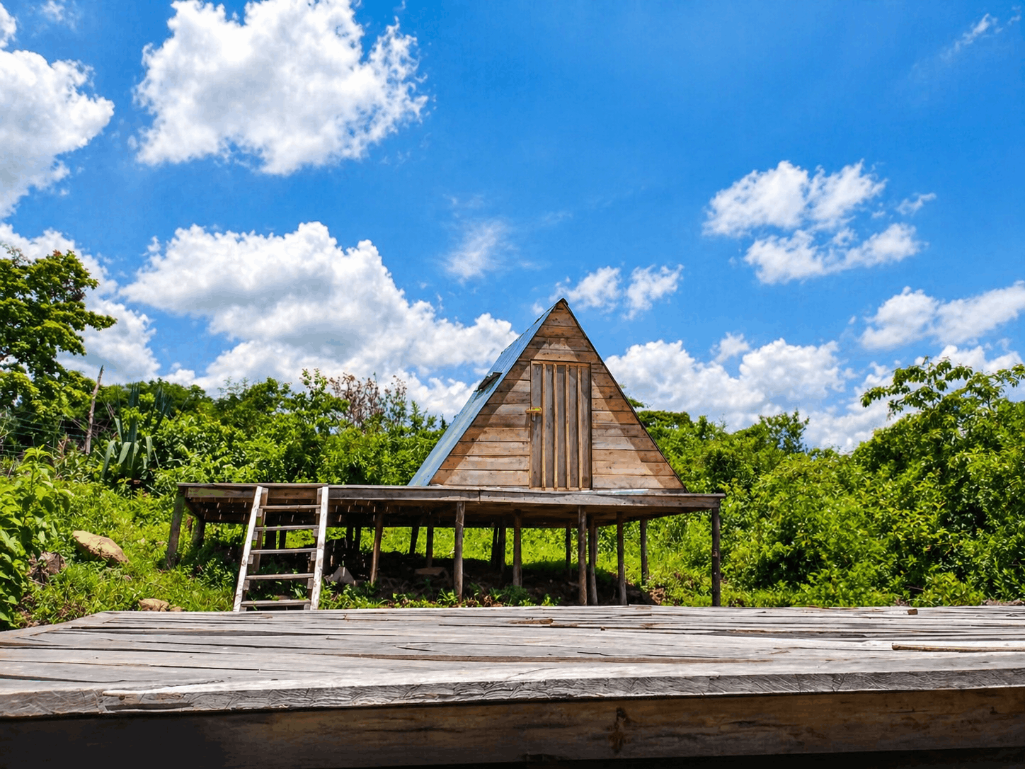 The A-frame cabin on stilts, set among trees